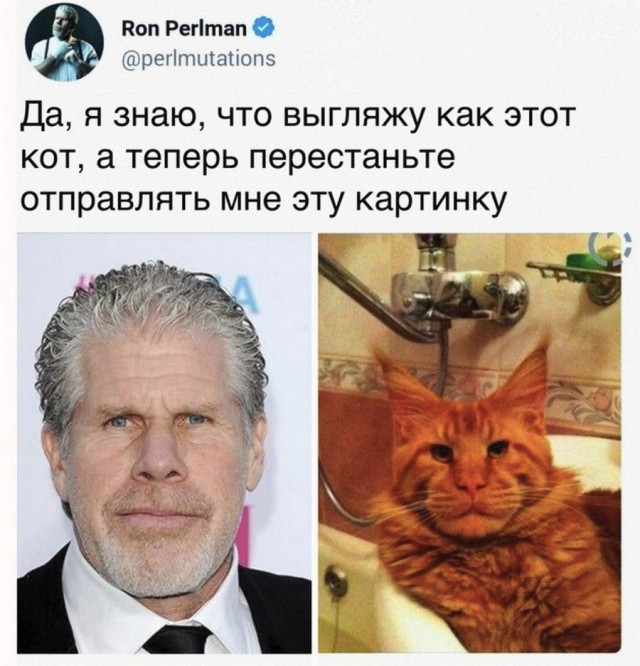 Немного странного юмора на вечер