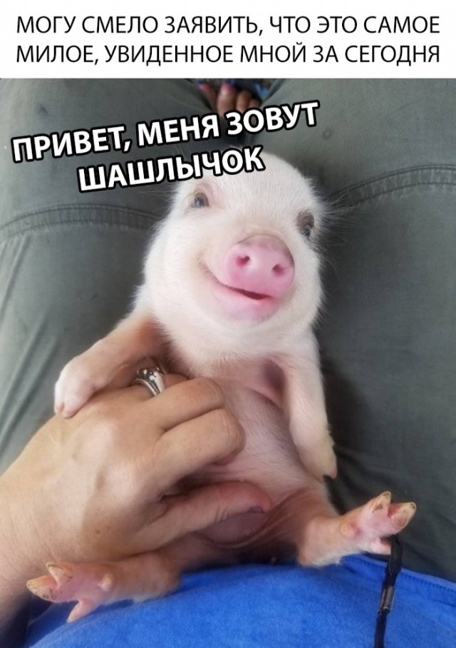 Нестандартный юмор