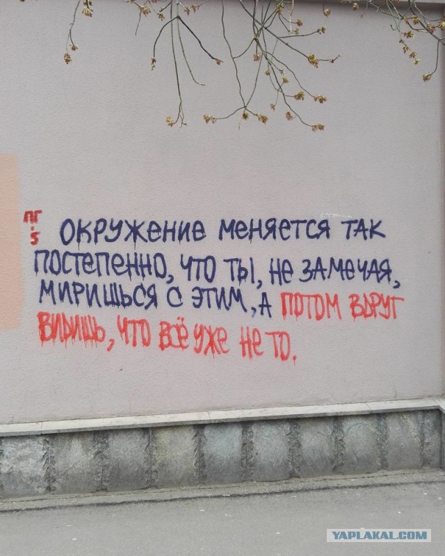 «Бродячие» философы: 17 глубокомысленных заметок в транспорте и на улицах