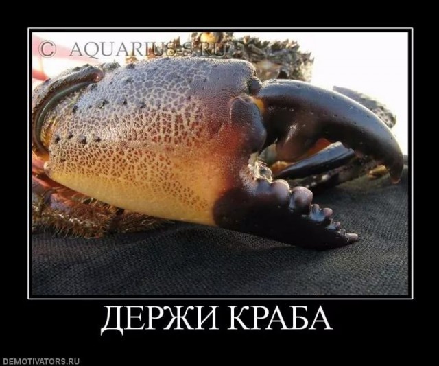 Стишепикчи