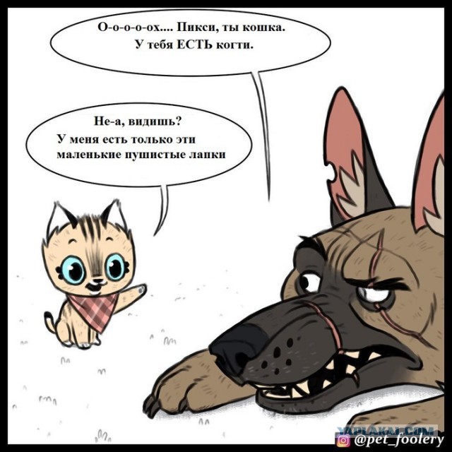 Бруд и Пикси