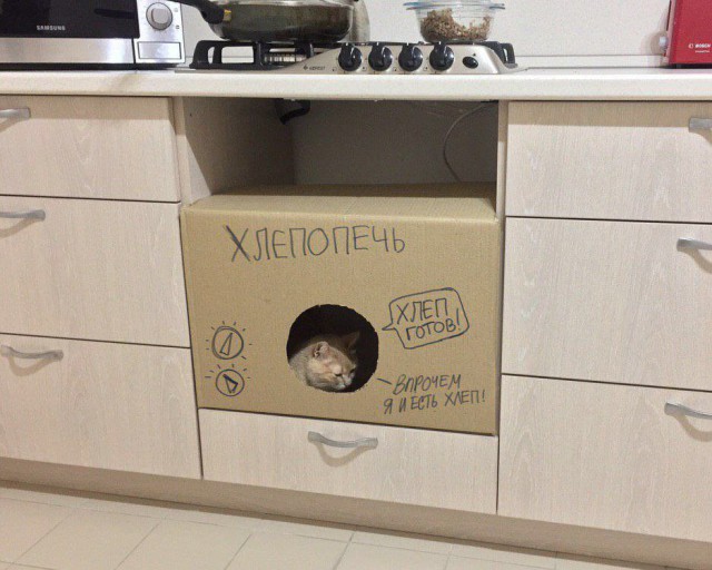 Прикольные картинки с надписями