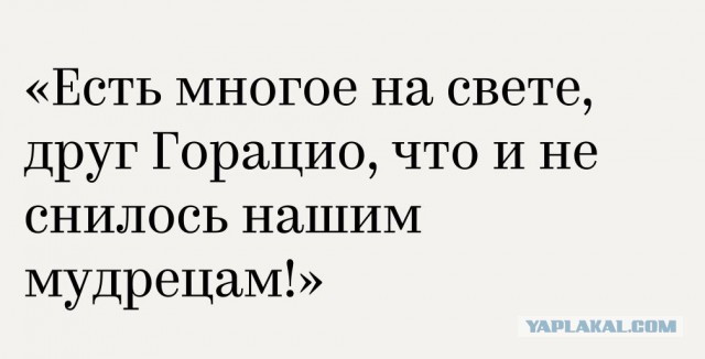 В Севастополе два песеля взяли под крыло котейку и получилось настоящее семейство.
