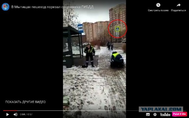 В Мытищах пешеход порезал сотрудника ГИБДД
