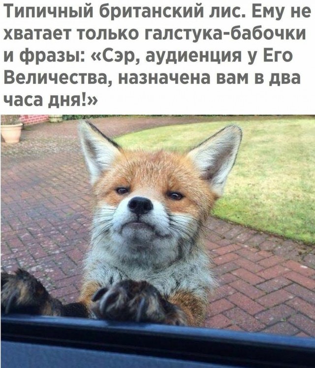 Чуток картинок. Ночная подборка 20.01.20