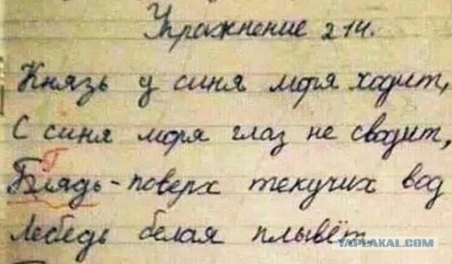 Чуток картинок. 02.02.20