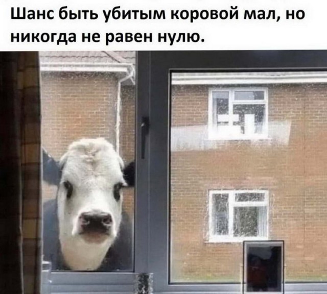 Чуток картинок. Ночные 6