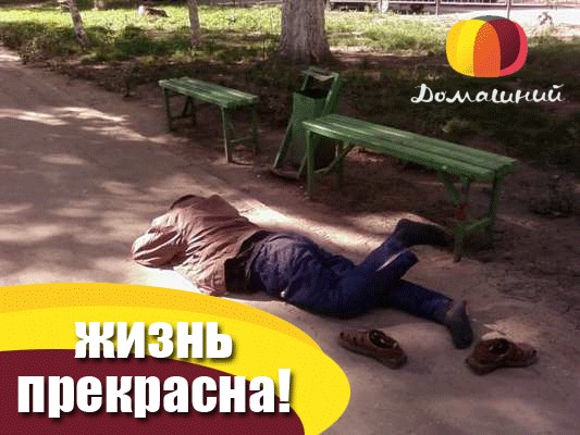Фотожаба: ТВ программа