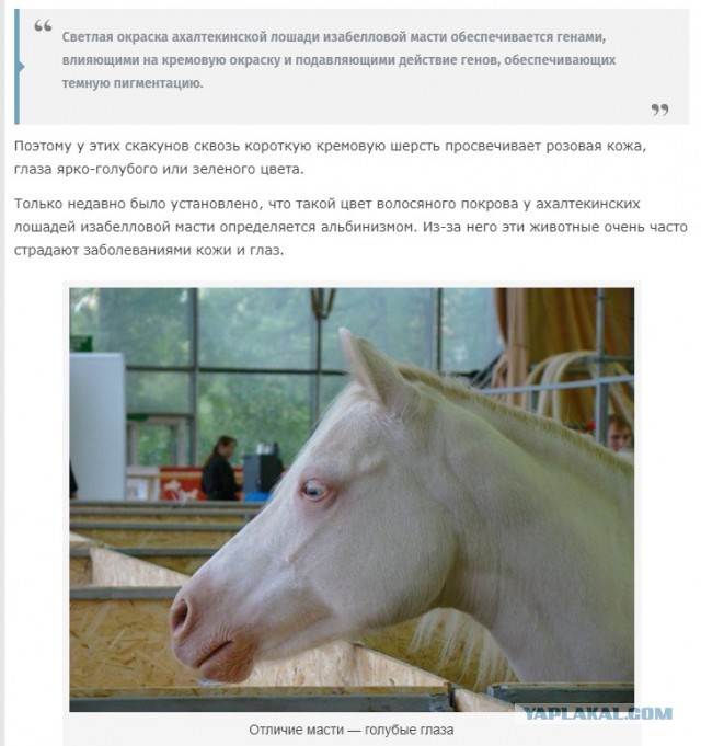 Перламутровая...
