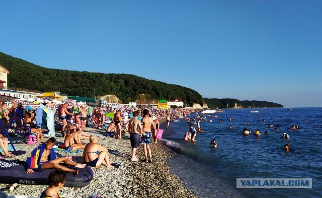 Пандемия. Коронавирус. Россия и мир. Последняя информация. Часть 18