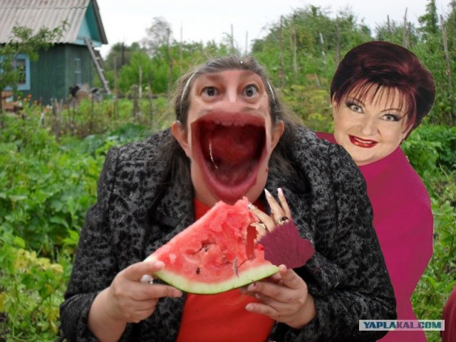 Фотожаба: Принцесса ФИОНА