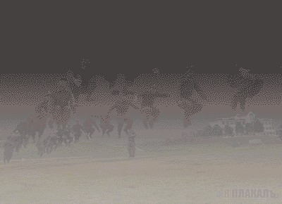 Фотожаба: Кастинг на фильм "crazy Frog"
