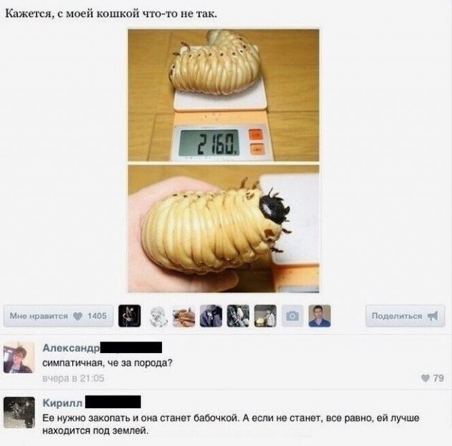 Мадам и месье бонжур
