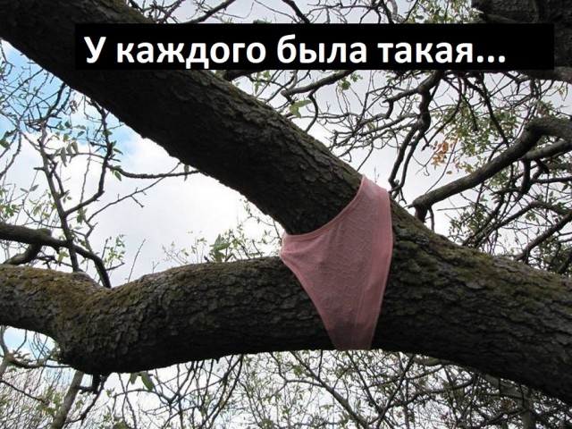 Баянисто-небаянистый юмор 09.08.21
