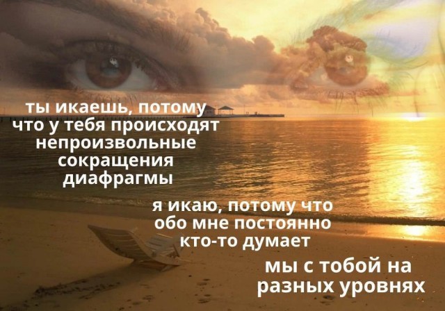 Так себе картинки 11.02.22