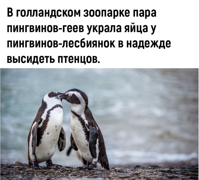 Так себе картинки 30.03.22