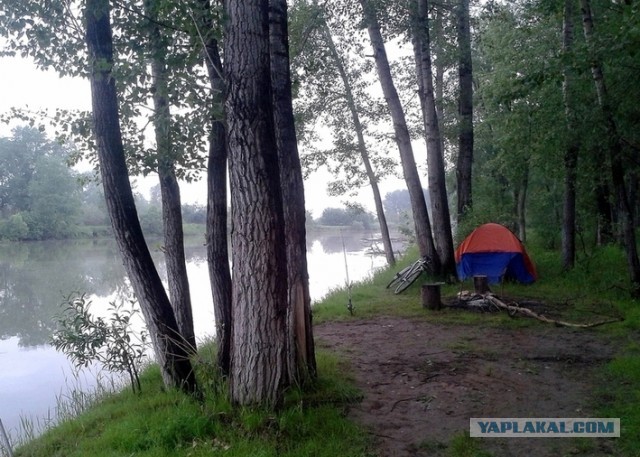 Палатки
