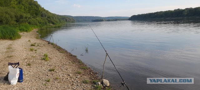 Доброе утро, рыбаки