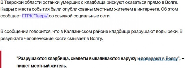 Ростовчанка нашла человеческие кости в своем подвале. В полиции ей предложили копать дальше