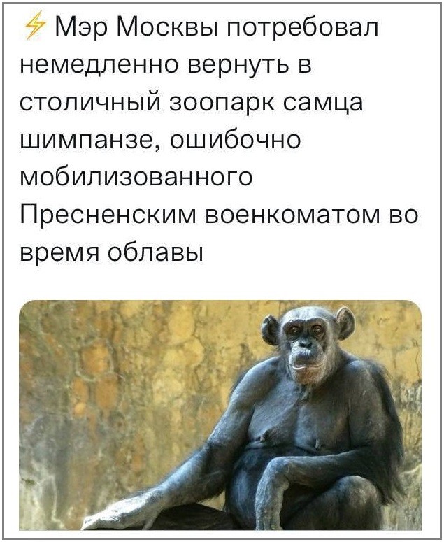 Мэр Москвы потребовал.