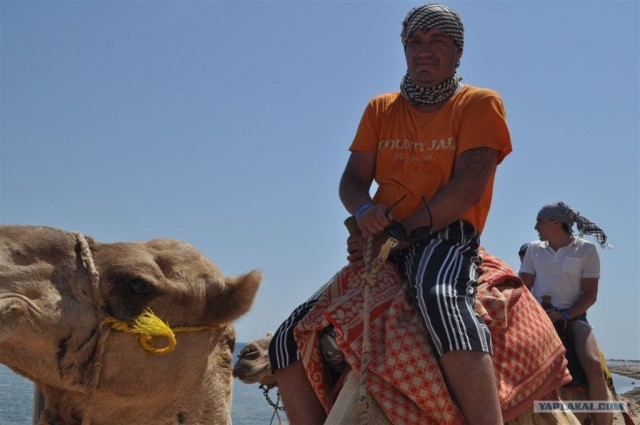 Как я ездил в Египет