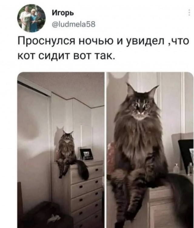 Тупняк на понедельник. 17 шт.