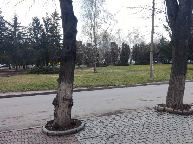 Володенька, взорвали наше ПВО...