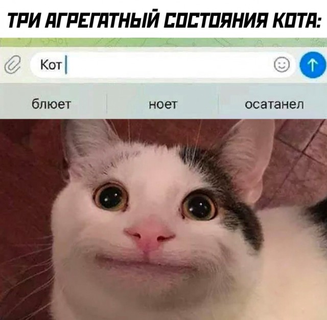 Картинки и мемы для настроения - 119