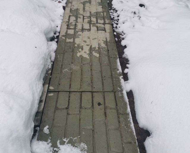 Опять про огурцы