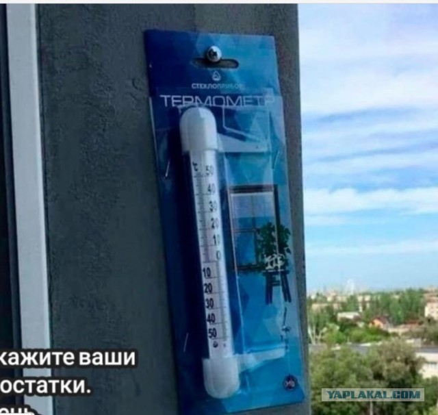 Так себе картинки 12.02.23