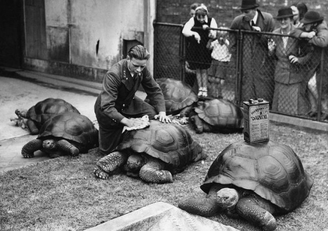 16 редких исторических фотографий и архивные снимки звёзд, помогающие с головой окунуться в прошлое