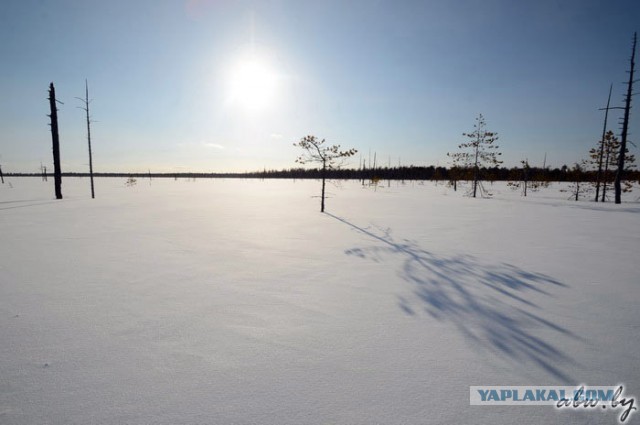 Дорога, которой нет: зимник Вуктыл - Воркута