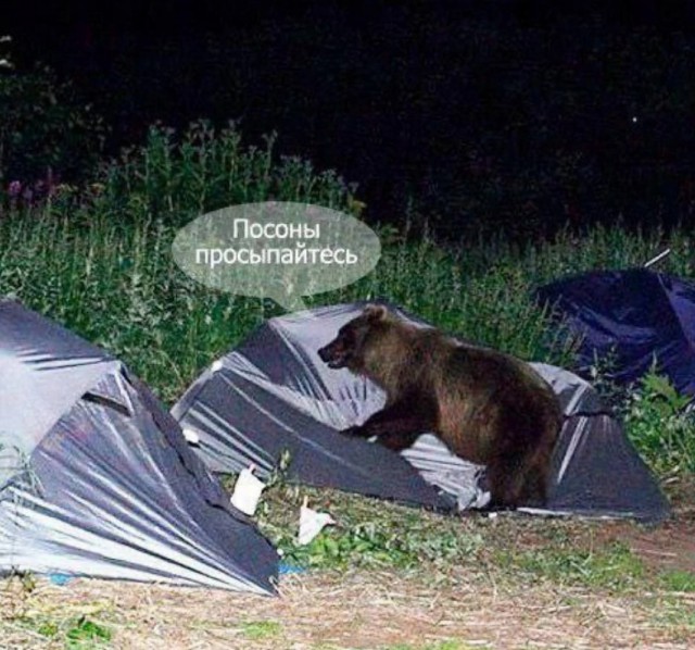 Нуштош 20.05.2023