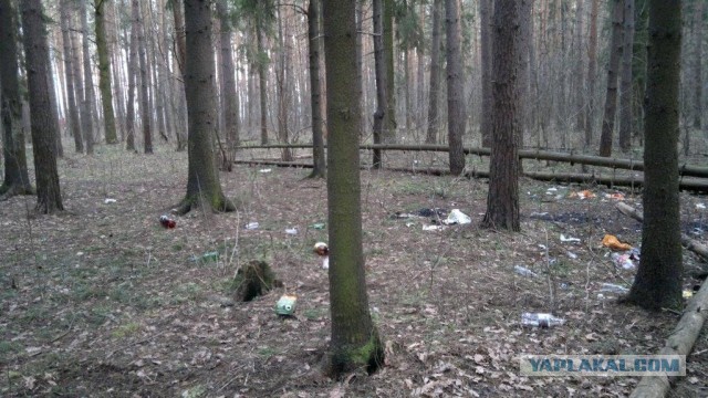 Сходил в лес