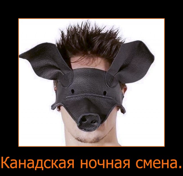 Так в ОАЭ встречают российскую делегацию