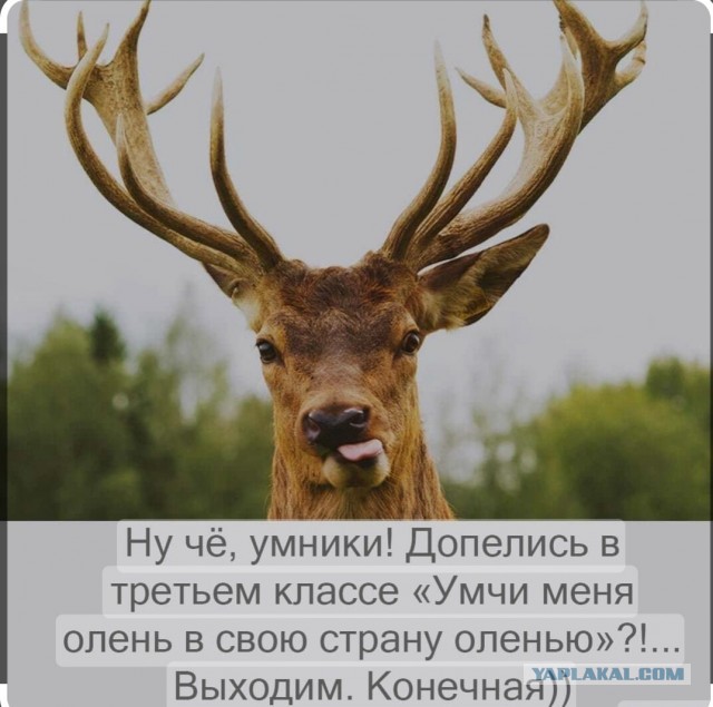 Я в сельмаг...