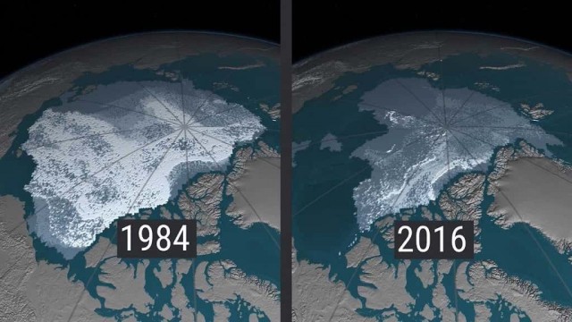 Ковид, Цифровая валюта и прочие радости
