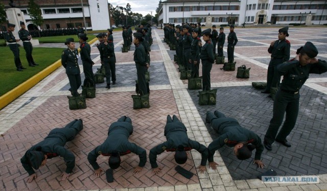 "А ну-ка девушки" по-колумбийски!