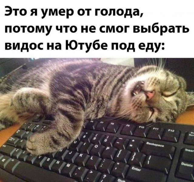 Нуштош 08.05.2024