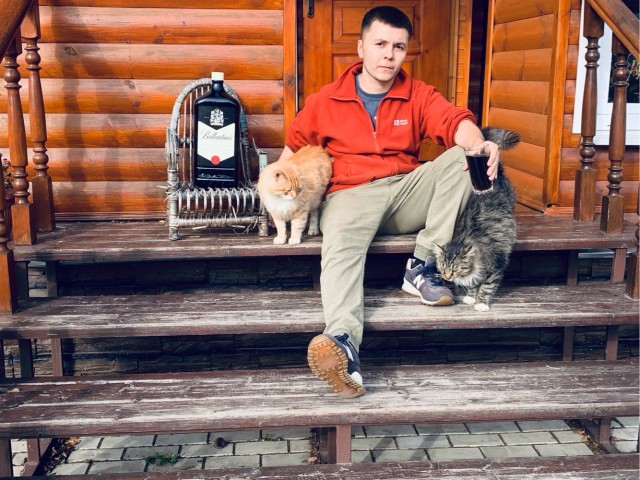 Коты деревенской породы