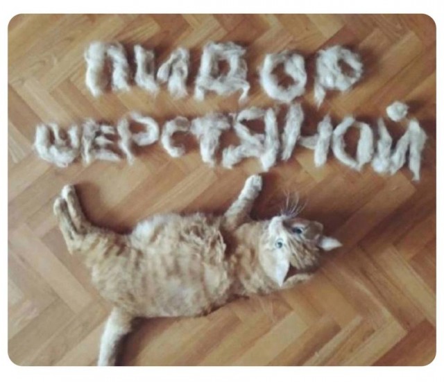 Всего понемногу. От 24.06.2024
