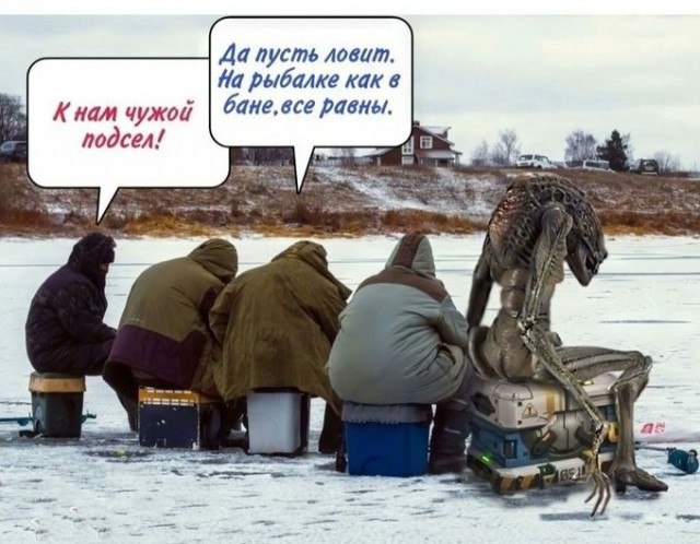 Веселые картинки к пятнице (11.10)