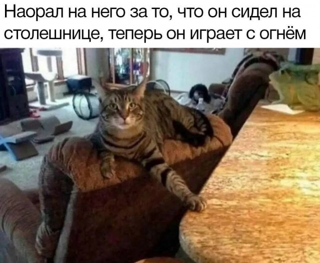 Так себе картинки 16.10.24