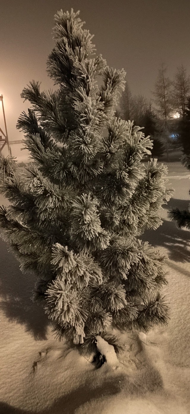 Покажите вашу зиму