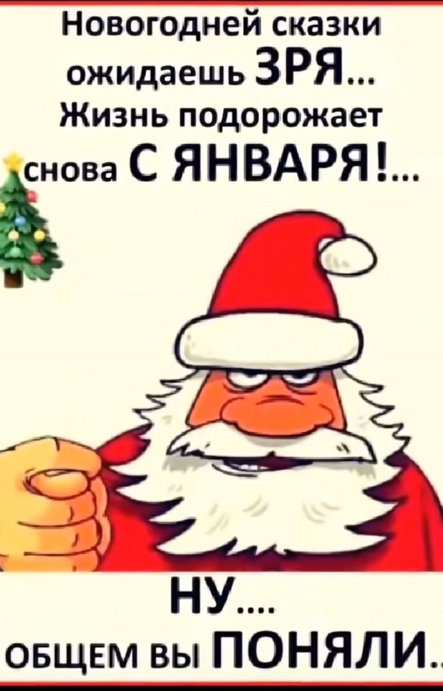 Немного забавных картинок от 22.12.24