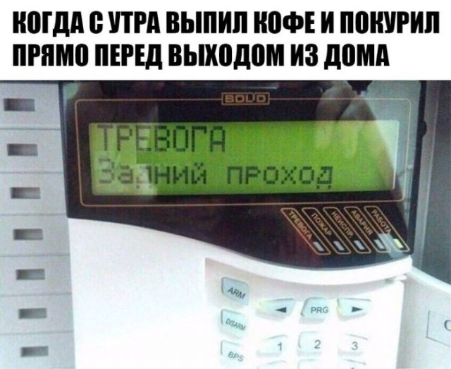 Веселые картинки в пятницу (17.01)