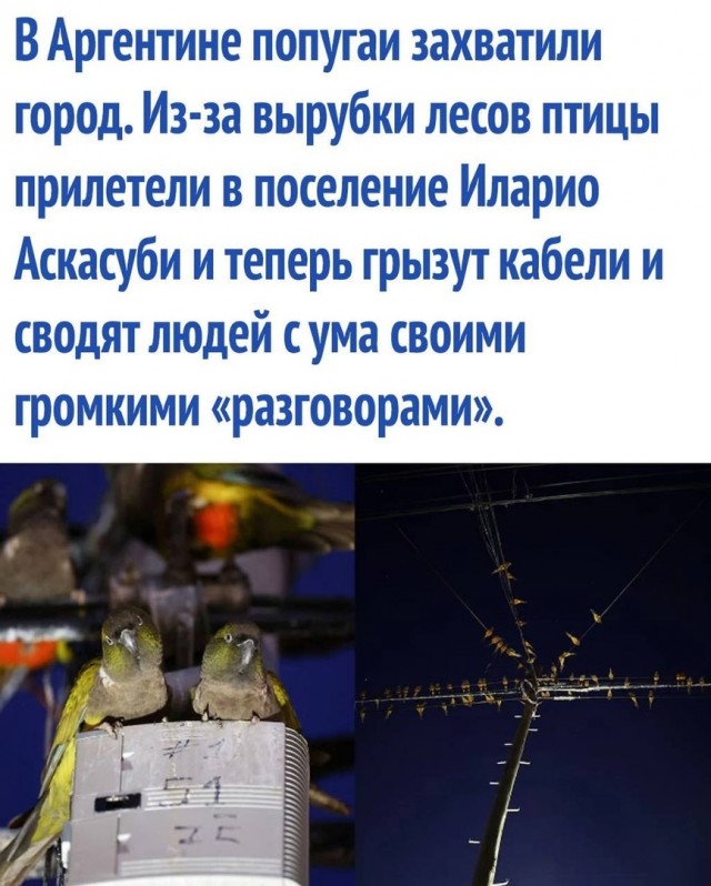 Так себе картинки 19.02.25