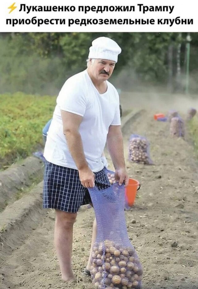 Лукашенко поручил кабмину заняться поиском в Белоруссии редкоземельных металлов