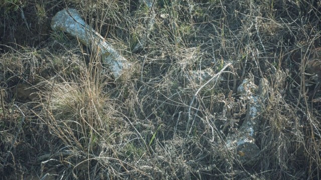 Воинские останки вылезли наружу у кладбища в Россошках