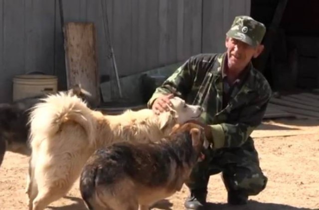 Ветеран ФСБ продал квартиру спасая служебных собак
